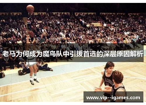老马为何成为魔鸟队中引援首选的深层原因解析