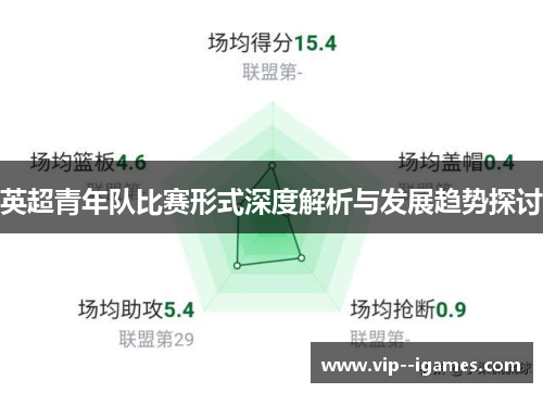 英超青年队比赛形式深度解析与发展趋势探讨