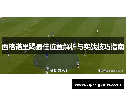西格诺里踢最佳位置解析与实战技巧指南